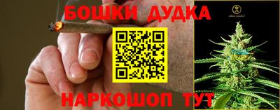 a pvp Новокубанск
