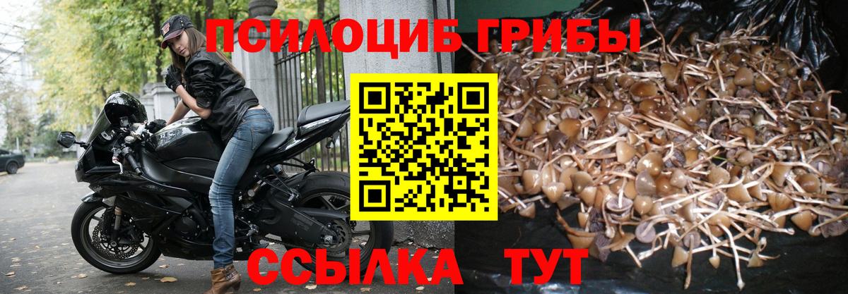 Псилоцибиновые грибы ЛСД  Вход с VPN  Тверь  Галлюциногенные грибы GOLDEN TEACHER 