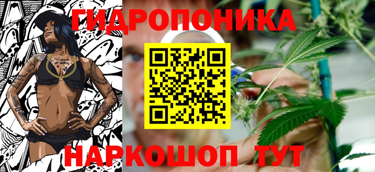 Каннабис White Widow Тверь